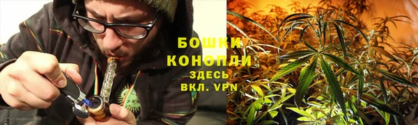 2c-b Лагань