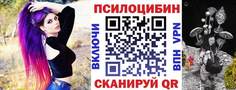 цена наркотик  Чаплыгин  МЕГА tor  Галлюциногенные грибы мухоморы 